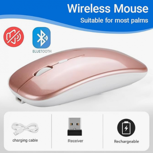 MOUSE