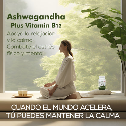 ASHAWAGANDA (BODEGA E) (GINSENG INDIO) + B12 X 90 CAPSULAS